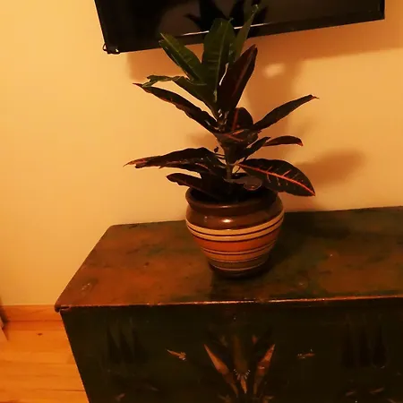 Kunterbunt Aparts Apartamento Estambul