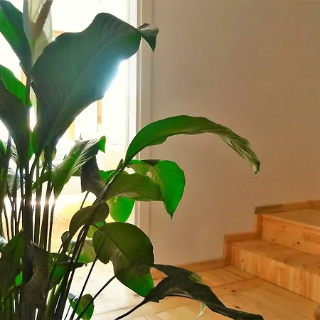 Apartment Kunterbunt Aparts Istanbul