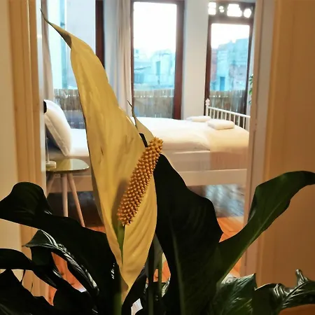 Kunterbunt Aparts *