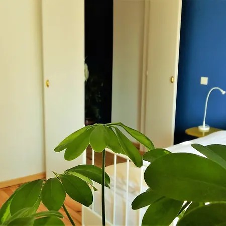 Kunterbunt Aparts *