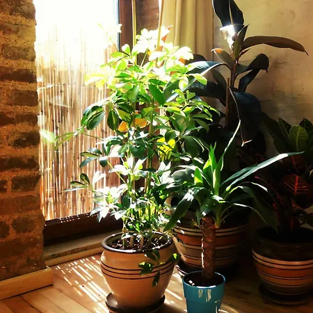 Apartment Kunterbunt Aparts *